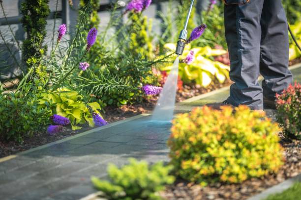 Best Dumpster Area Cleaning  in Oak Hills, OR